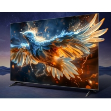 TCL  55寸液晶電視